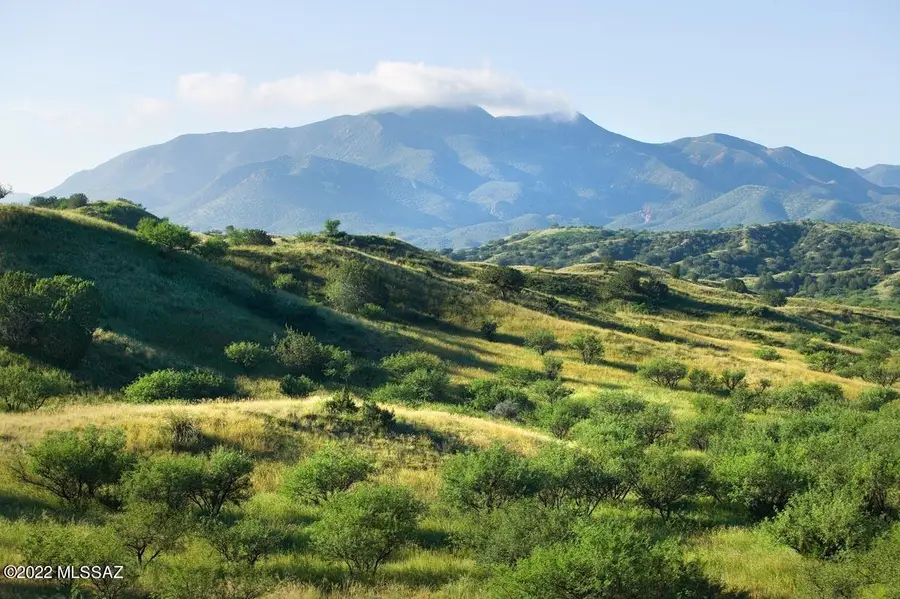 832 Side Oats, Patagonia, AZ 85624 - #3