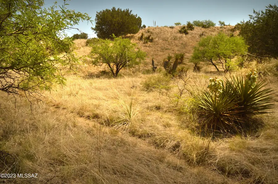 202 Tanglehead, Patagonia, AZ 85624 - #2