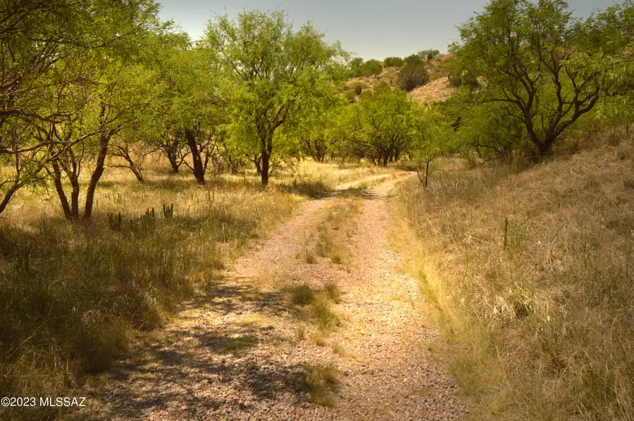 202 Tanglehead, Patagonia, AZ 85624 - #3