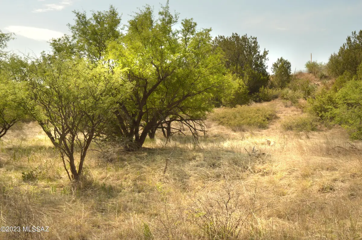 194 Tanglehead, Patagonia, AZ 85624 - #1