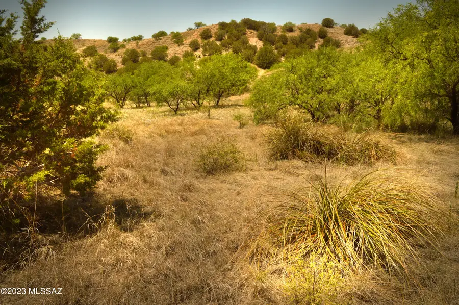 194 Tanglehead, Patagonia, AZ 85624 - #2