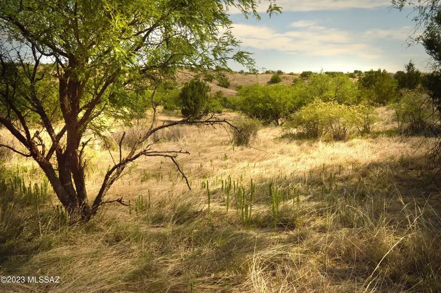 194 Tanglehead, Patagonia, AZ 85624 - #3