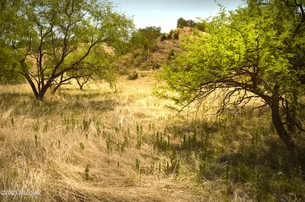 206 Tanglehead, Patagonia, AZ 85624