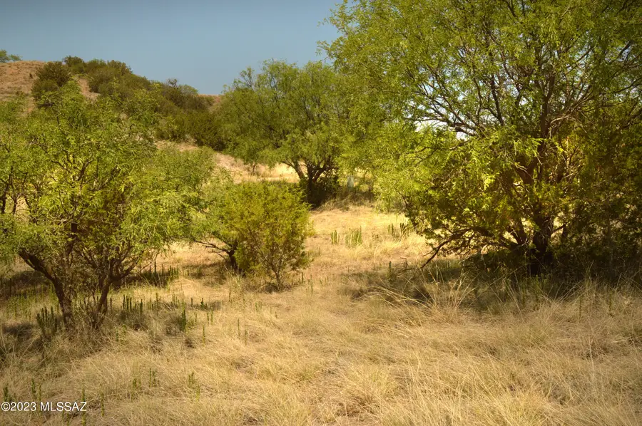 206 Tanglehead, Patagonia, AZ 85624 - #2