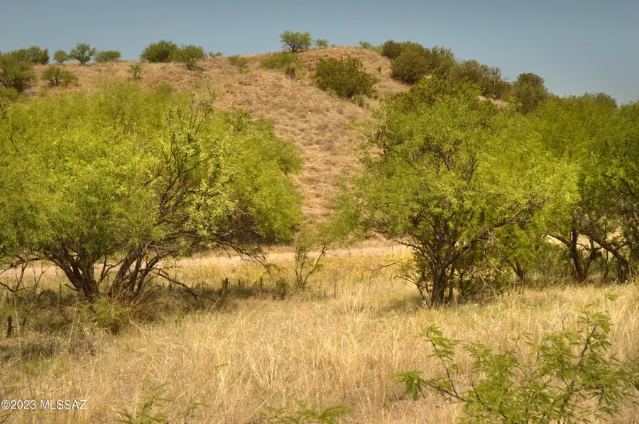 206 Tanglehead, Patagonia, AZ 85624 - #3