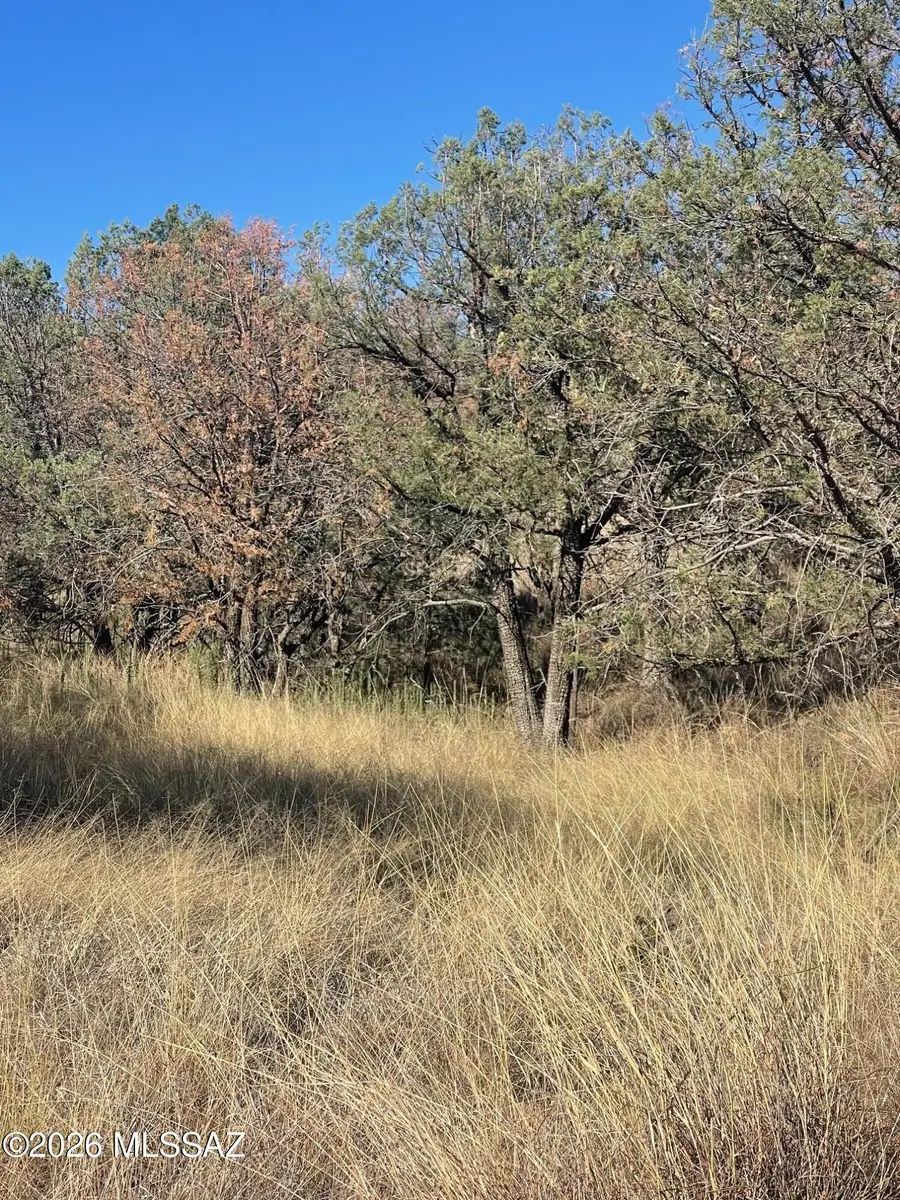 W Coronado, Elgin, AZ 85611 - #3