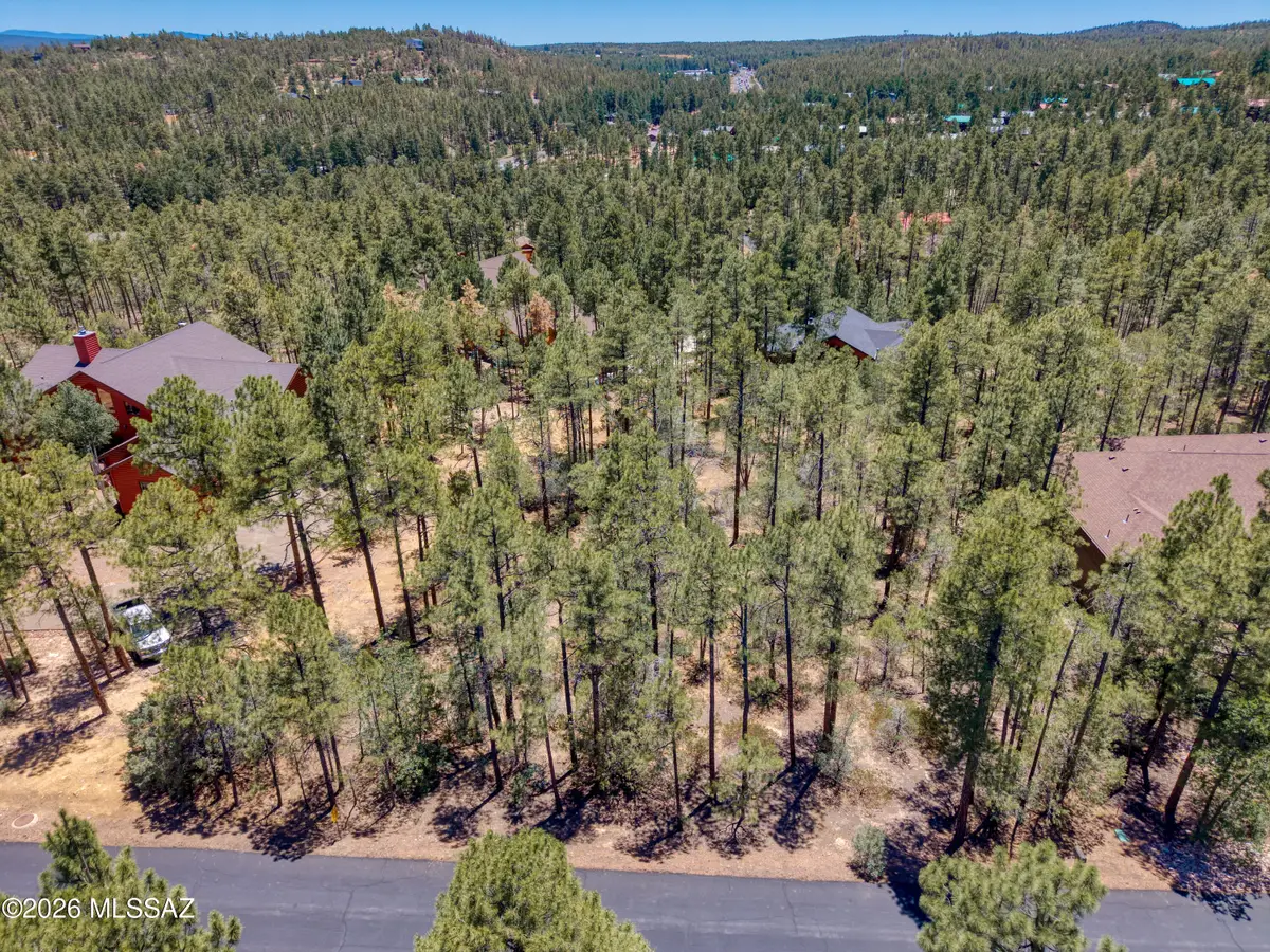 1101 E Pine Oaks, Show Low, AZ 85901 - #1