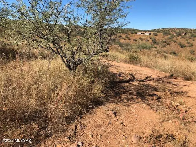 407 Lisa, Rio Rico, AZ 85648 - #2