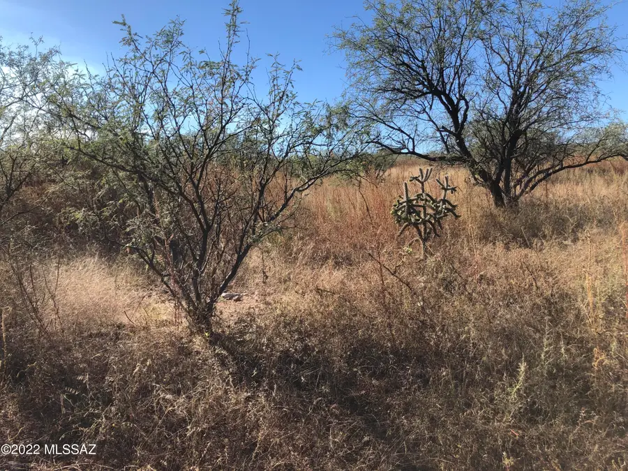 407 Lisa, Rio Rico, AZ 85648 - #3