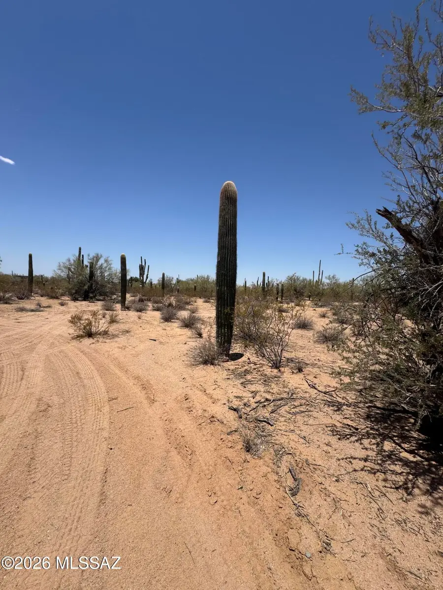 7350 N Sandario, Tucson, AZ 85743 - #2