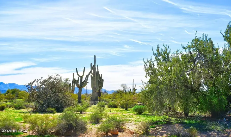 7330 N Sandario, Tucson, AZ 85743 - #3