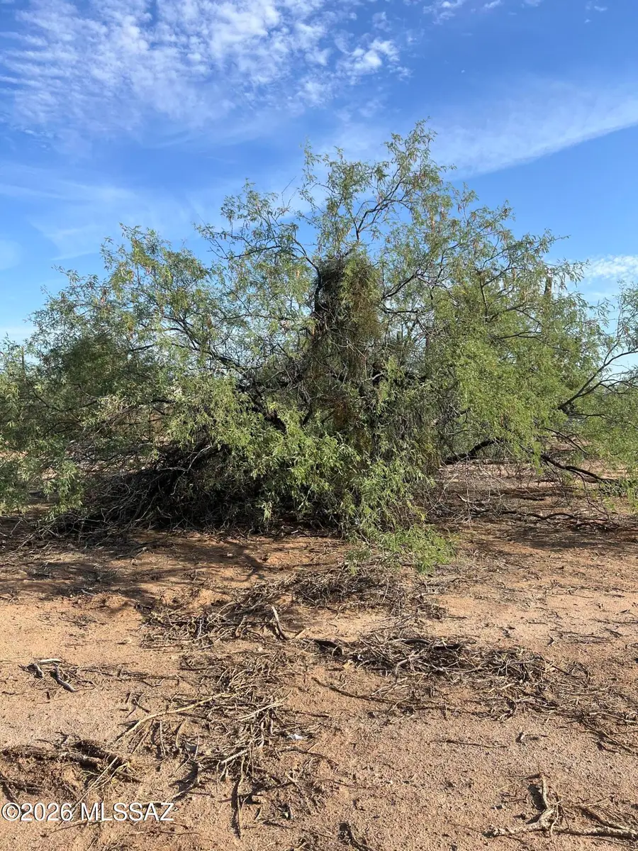 16537 N Avenue Del Oro, Tucson, AZ 85739 - #3