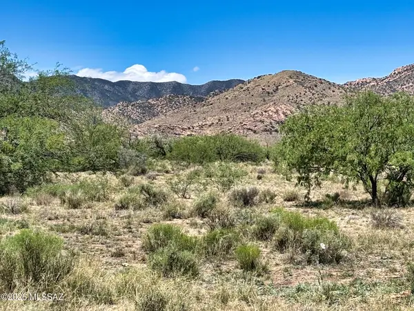Single Lot Zinnia, Pearce, AZ 85625