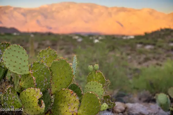 TBD N Hawk Canyon Trail, Oro Valley, AZ 85755