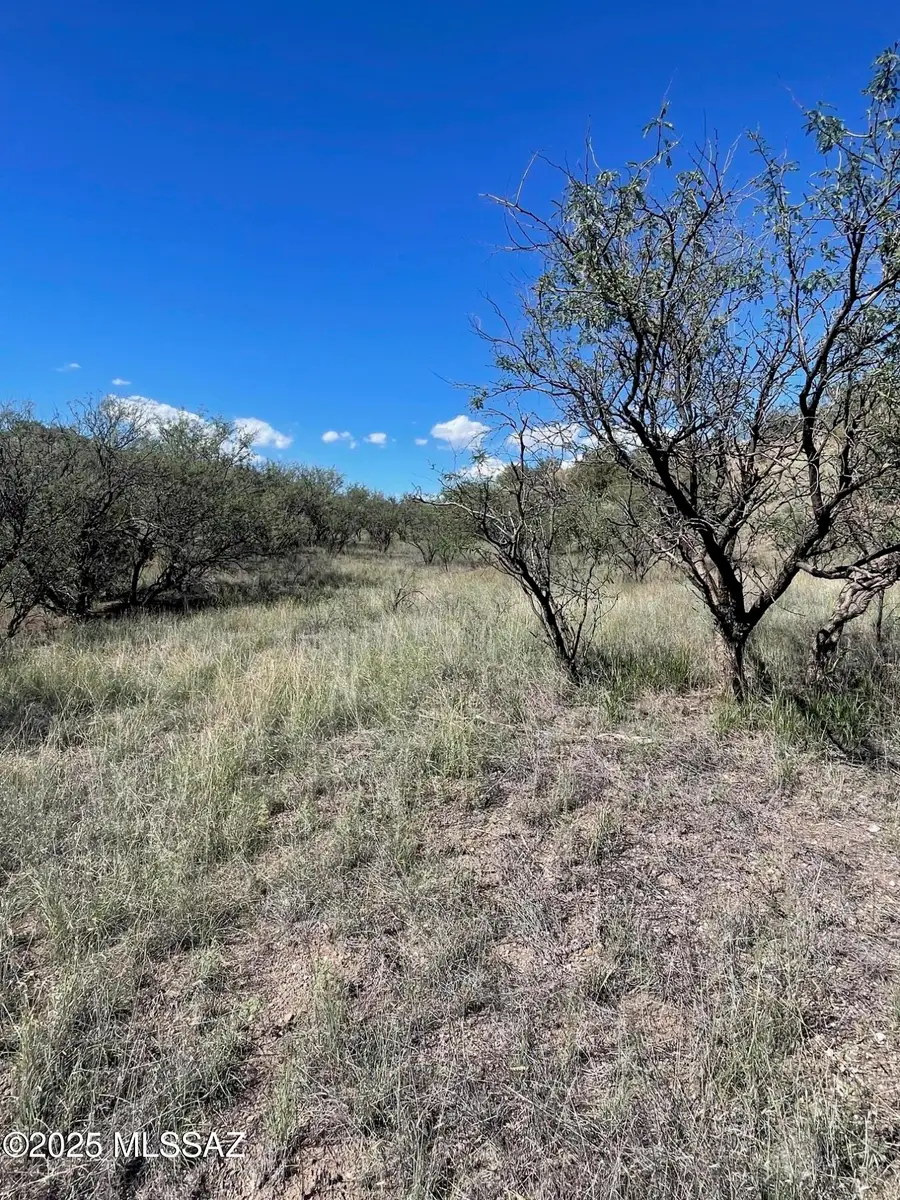 106 Tanglehead Lane, Patagonia, AZ 85624 - #2