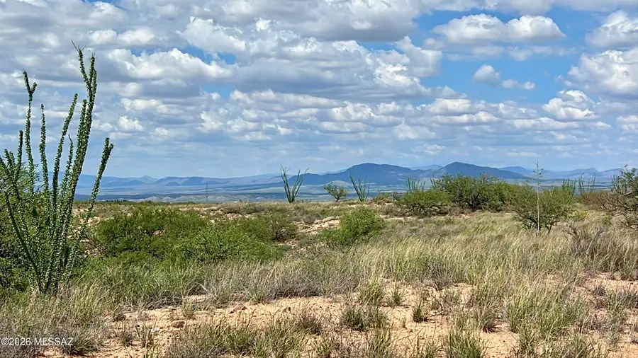 1590 S Canyon Overlook, Benson, AZ 85602 - #3