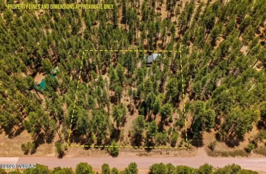 70 County Road 2266, Alpine, AZ 85920 - #3