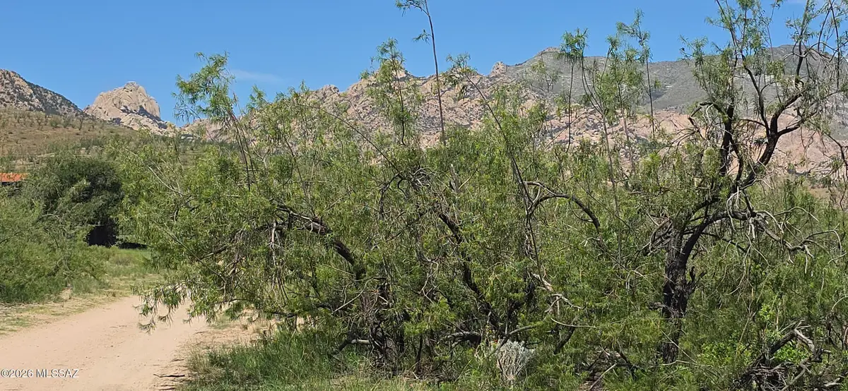 TBD Lehigh, Pearce, AZ 85625 - #1