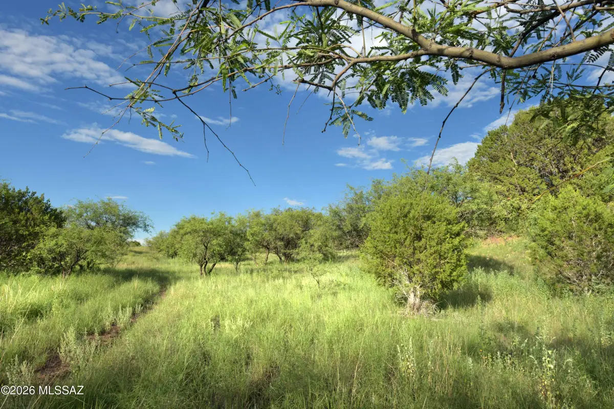 601 Dropseed, Patagonia, AZ 85624 - #1
