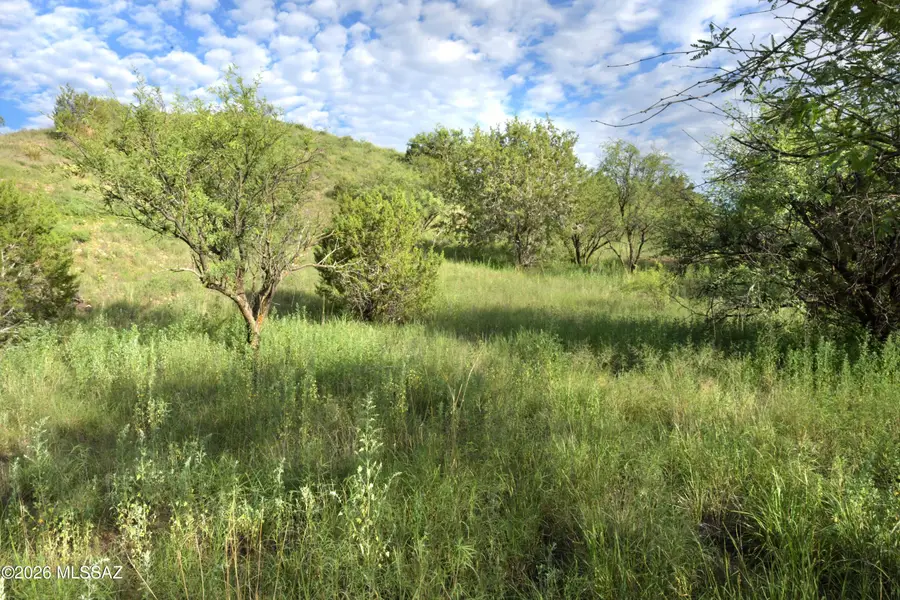 601 Dropseed, Patagonia, AZ 85624 - #3