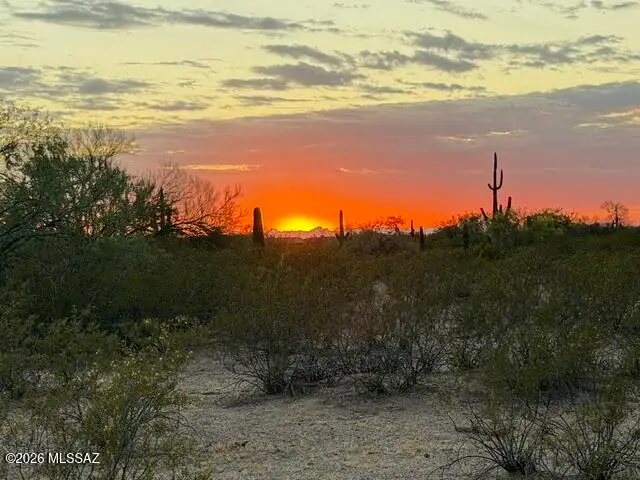XXX E Vista Grande, Marana, AZ 85658 - #1