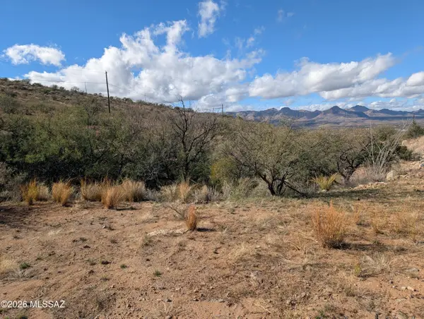 1632 Boquete, Rio Rico, AZ 85648
