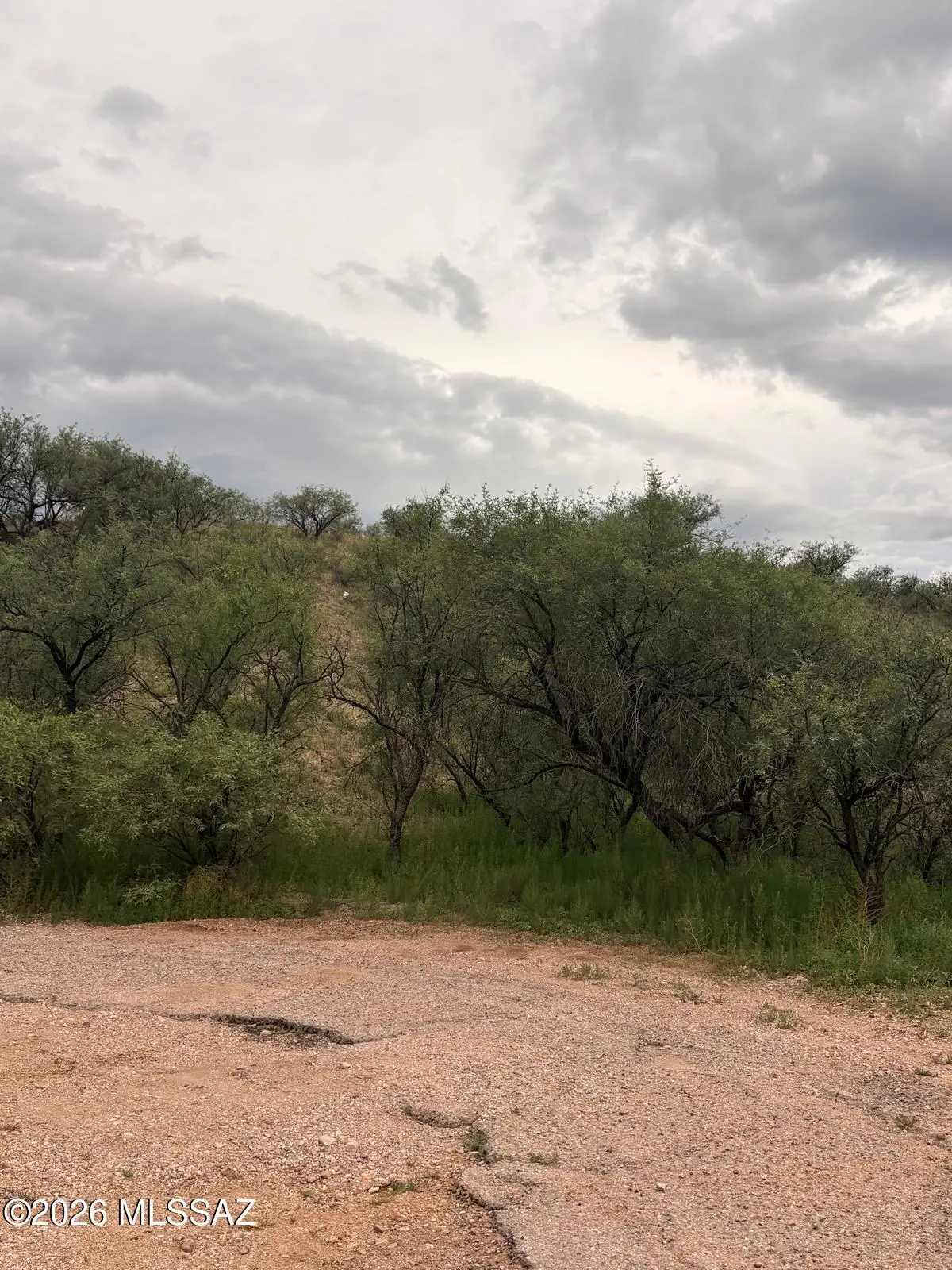 377 Quieto, Rio Rico, AZ 85648 - #1