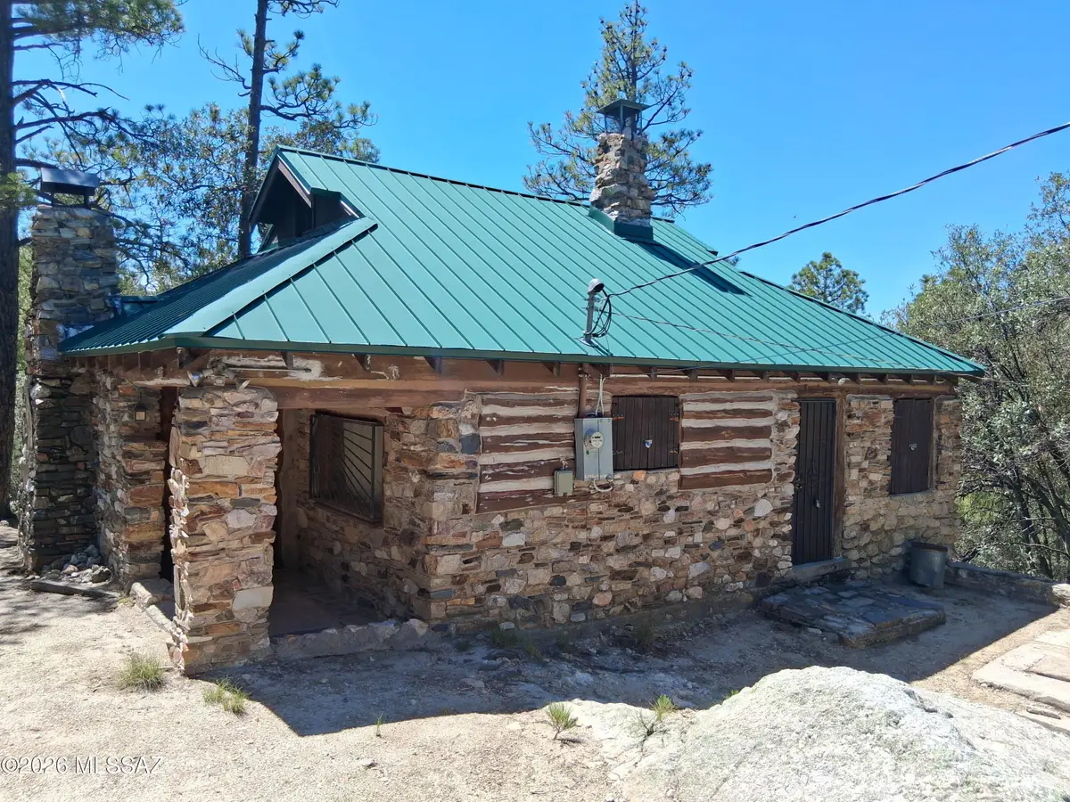 9824 N Willow Canyon, Mount Lemmon, AZ 85619 - #1