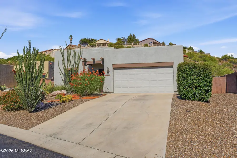 39955 S Horse Run, Tucson, AZ 85739 - #3