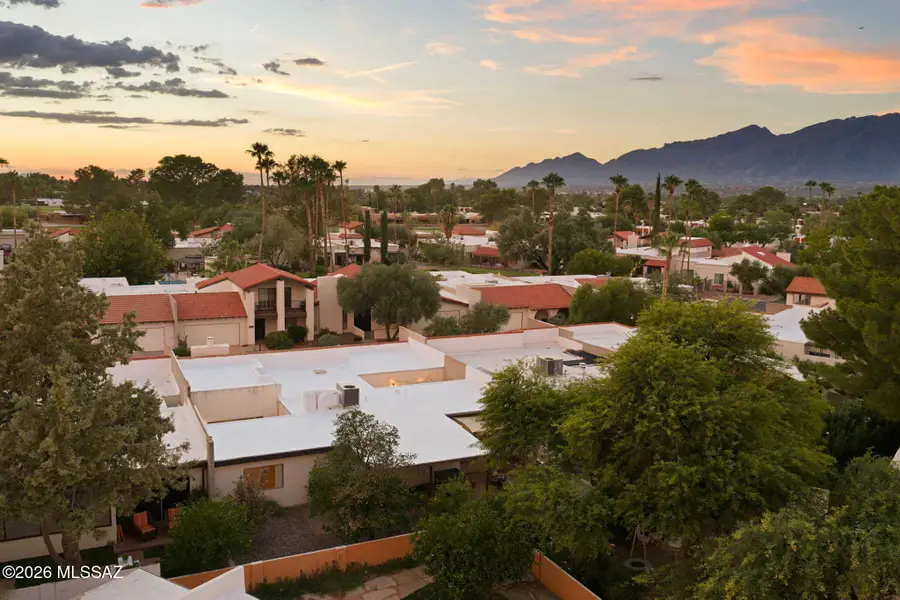 1302 N Via Ronda Oriente, Tucson, AZ 85715 - #3