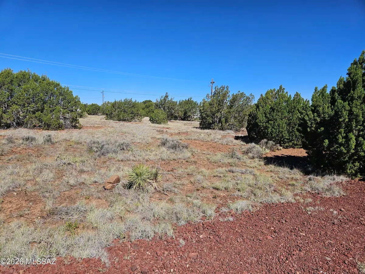 1798 Doughty, Show Low, AZ 85901 - #1