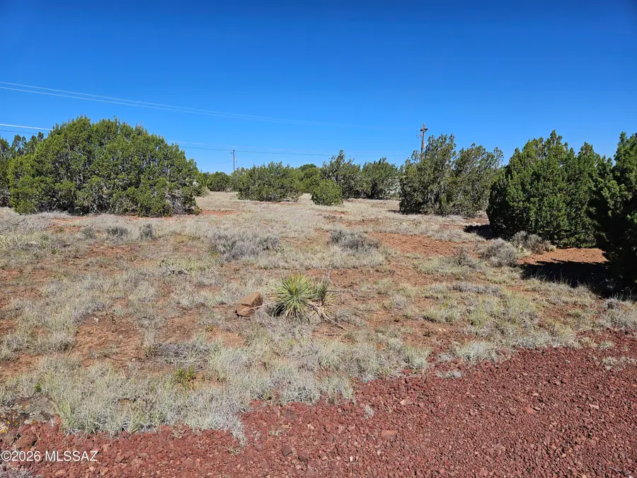 1798 Doughty, Show Low, AZ 85901 - #3