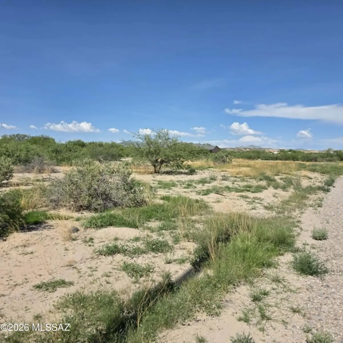 1227 N Pomerene, Benson, AZ 85602 - #1