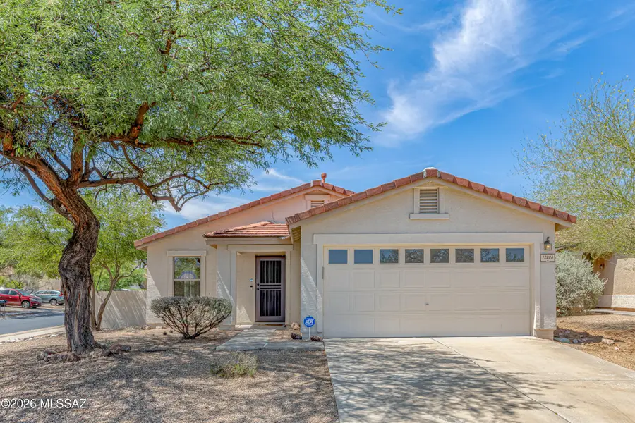 12886 N Desert Olive, Oro Valley, AZ 85755 - #2