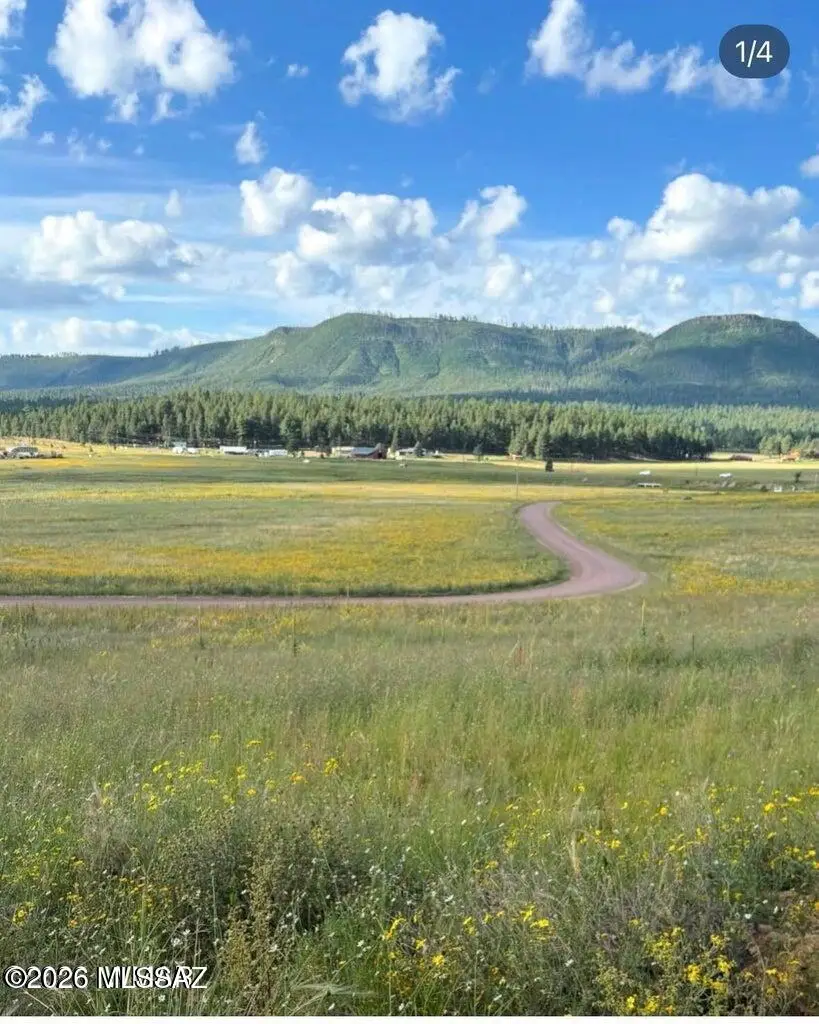 32 The Ranch At Alpine, Alpine, AZ 85920 - #1