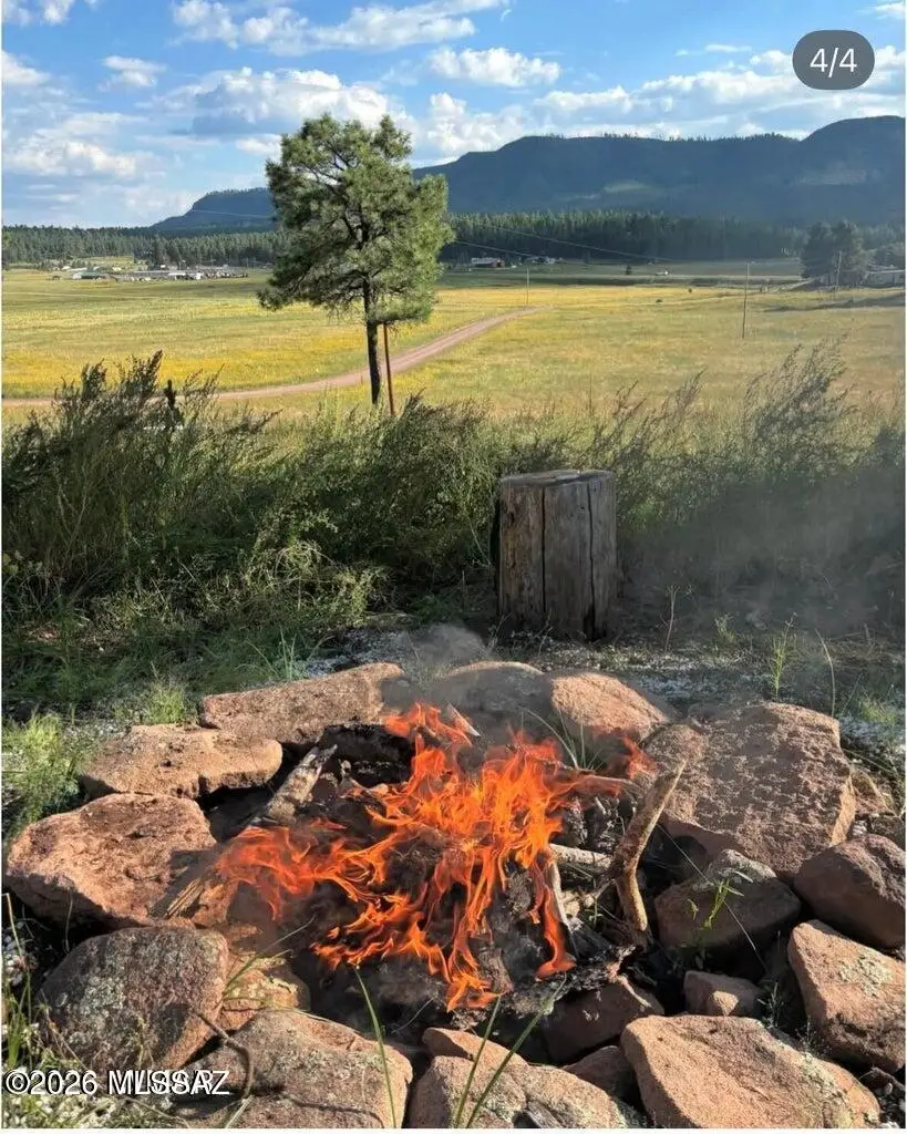 32 The Ranch At Alpine, Alpine, AZ 85920 - #2