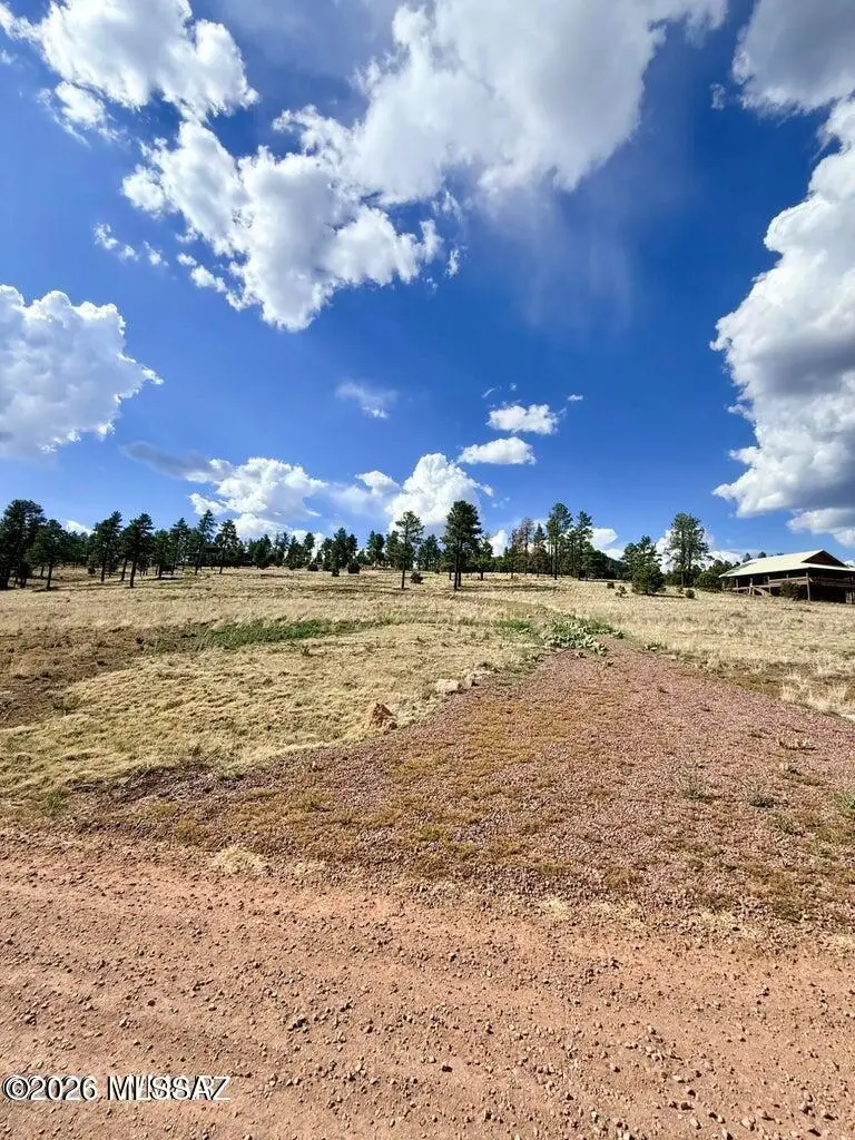 32 The Ranch At Alpine, Alpine, AZ 85920 - #3