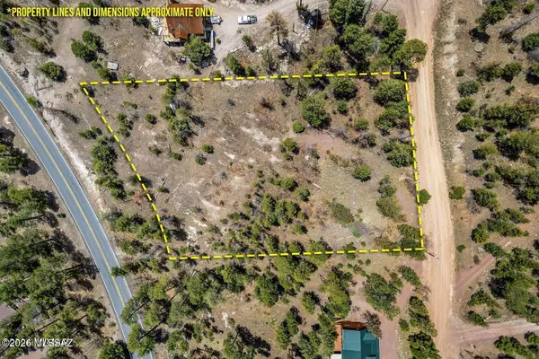 9 County Road, Alpine, AZ 85920