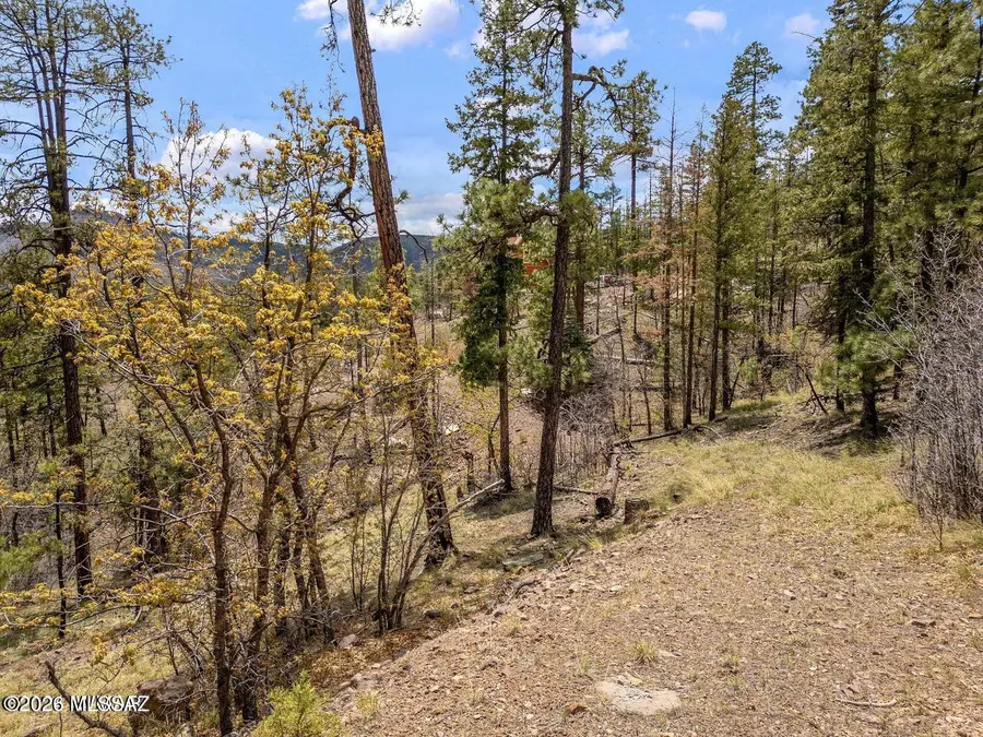 9 County Road, Alpine, AZ 85920 - #2
