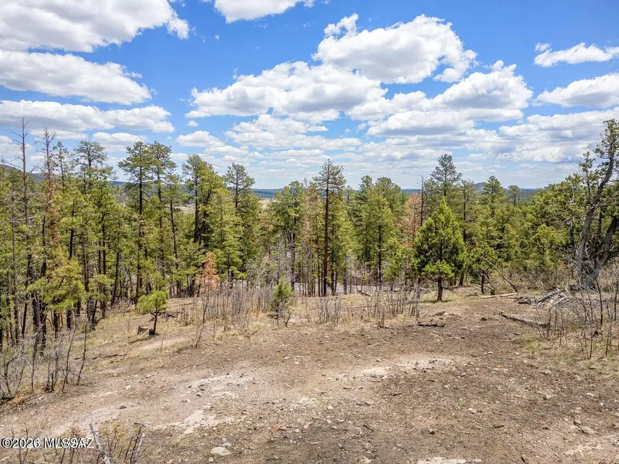 9 County Road, Alpine, AZ 85920 - #3
