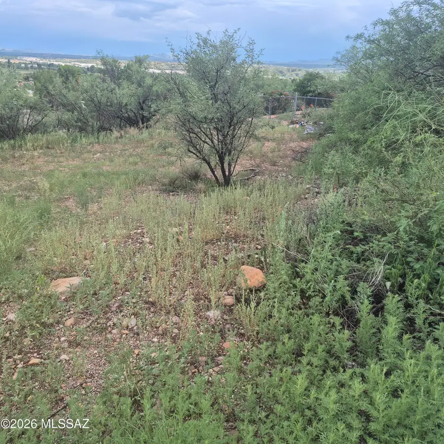 417 Wrightson, Rio Rico, AZ 85648 - #2