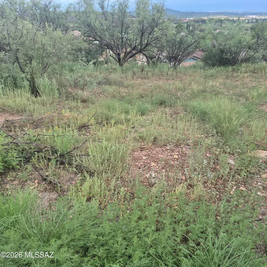 417 Wrightson, Rio Rico, AZ 85648 - #3