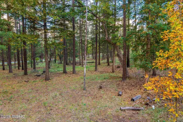 000 County Road 2196, Alpine, AZ 85920