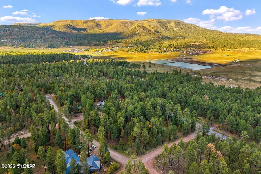 000 County Road 2196, Alpine, AZ 85920 - #2