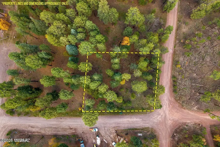 000 County Road 2196, Alpine, AZ 85920 - #3