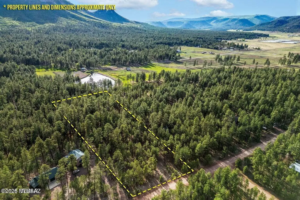 15 County Road 2083, Alpine, AZ 85920 - #1
