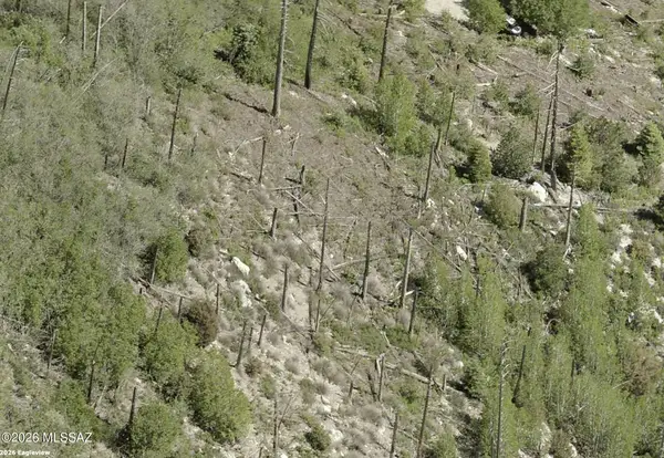 12909 N Winkelman, Mt. Lemmon, AZ 85619