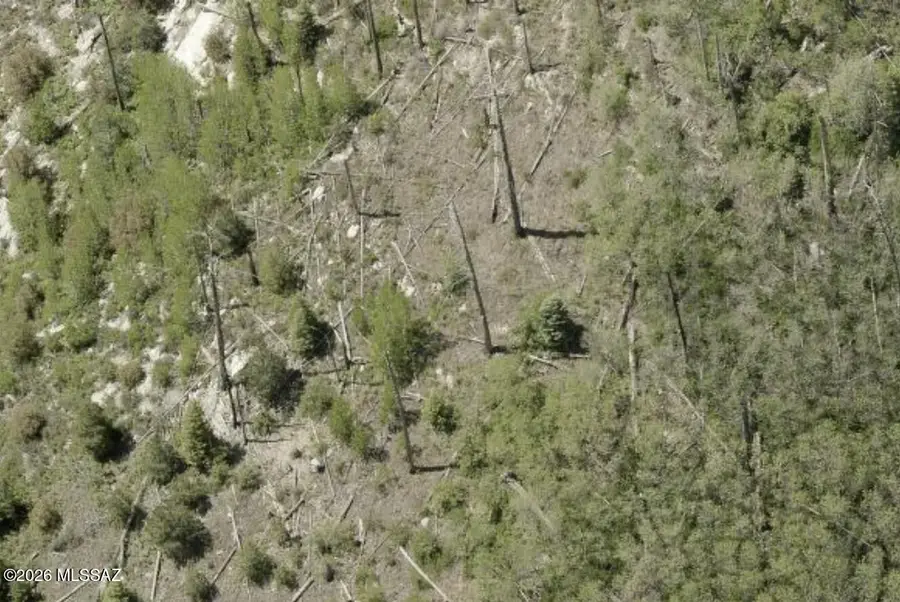 12909 N Winkelman, Mount Lemmon, AZ 85619 - #3