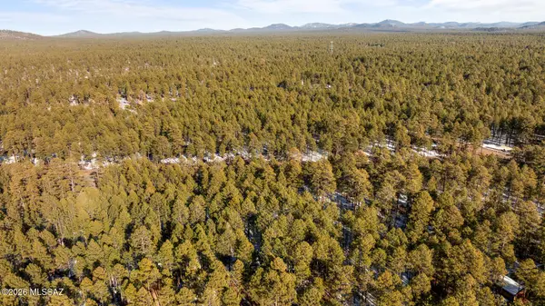2627 Douglas Fir, Pinetop, AZ 85935