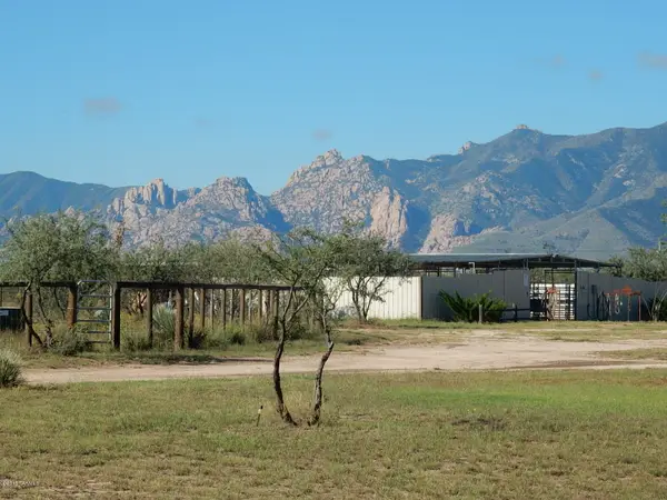 2145 N Cutting Horse, Cochise, AZ 85606